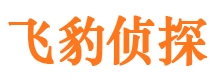 勉县资产调查